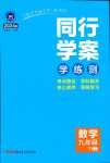 2024年同行學(xué)案九年級(jí)數(shù)學(xué)下冊(cè)魯教版