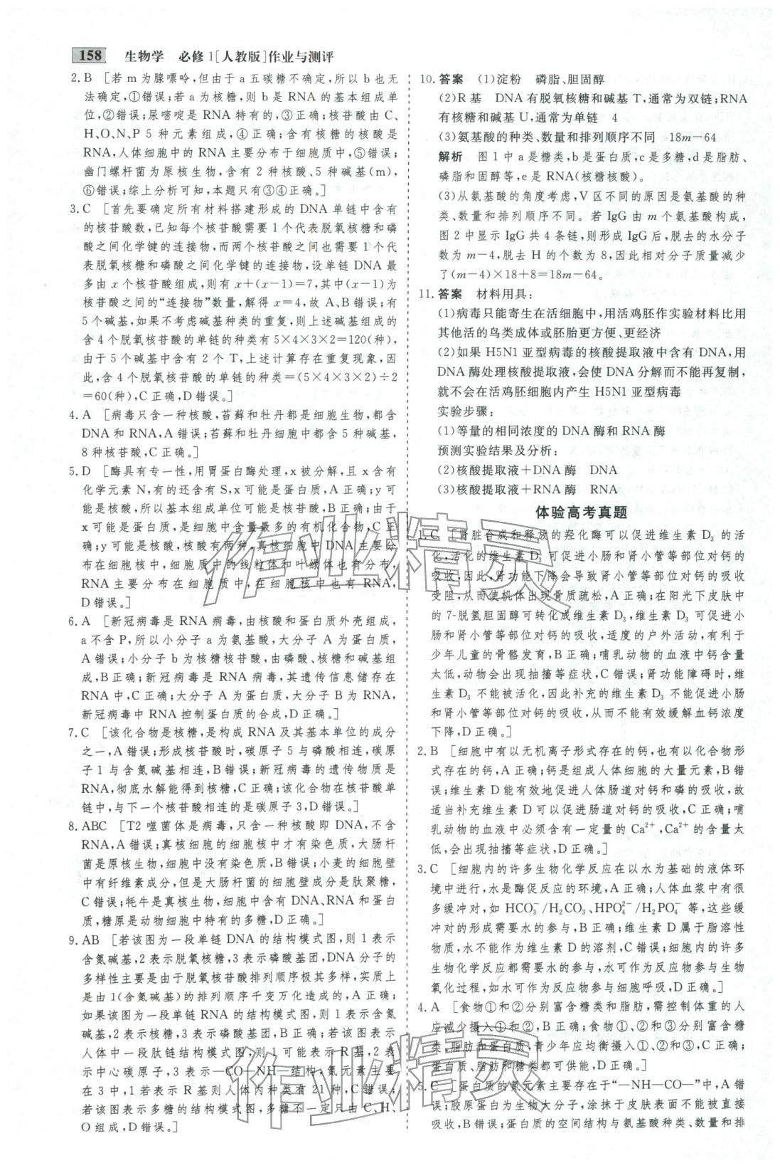 2025年金版教程作业与测评高中新课程学习高中生物必修第一册人教版&nbsp;第10页