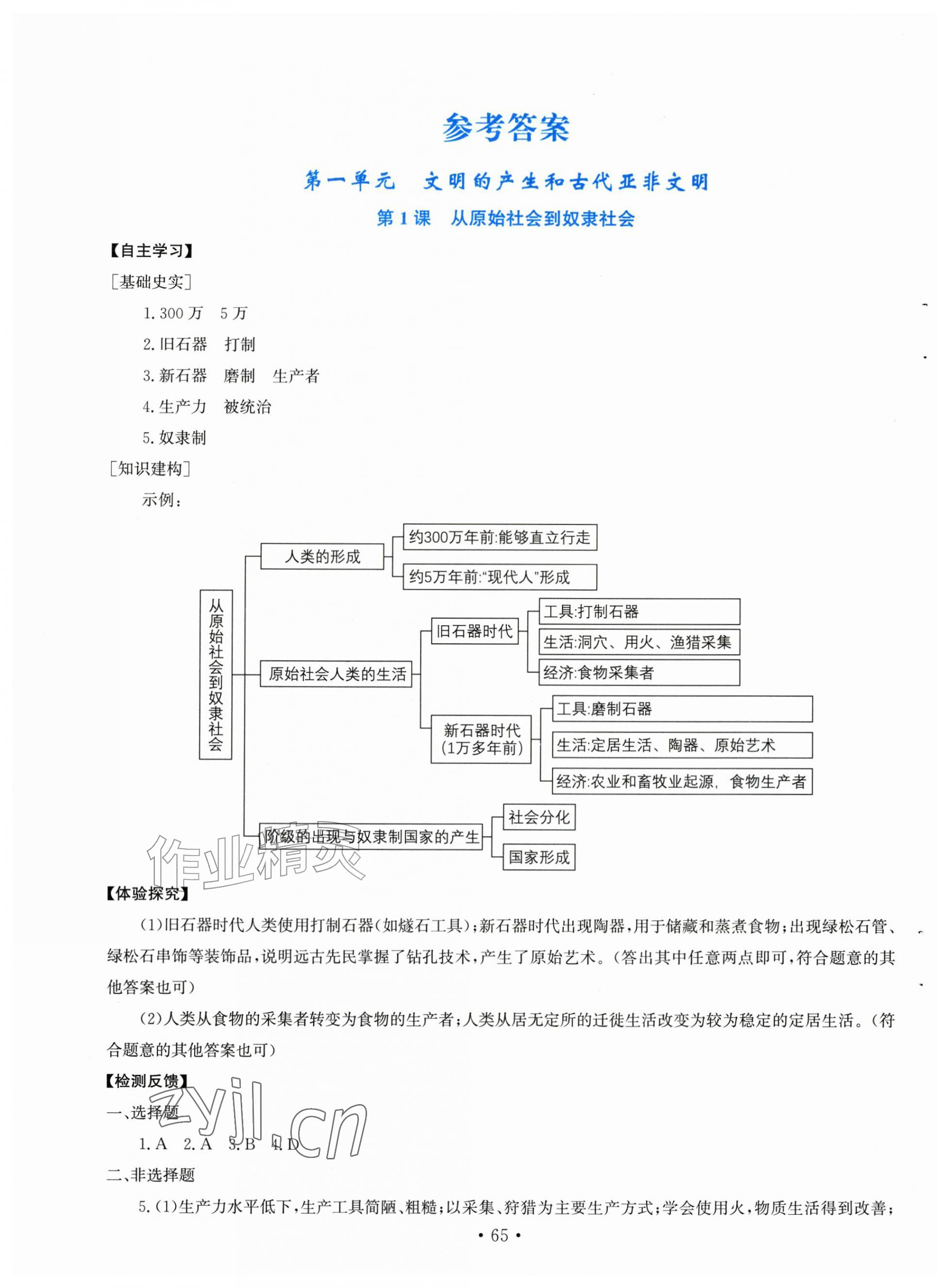 2026年新课程实践与探究丛书九年级历史上册人教版河南专版&nbsp;第1页