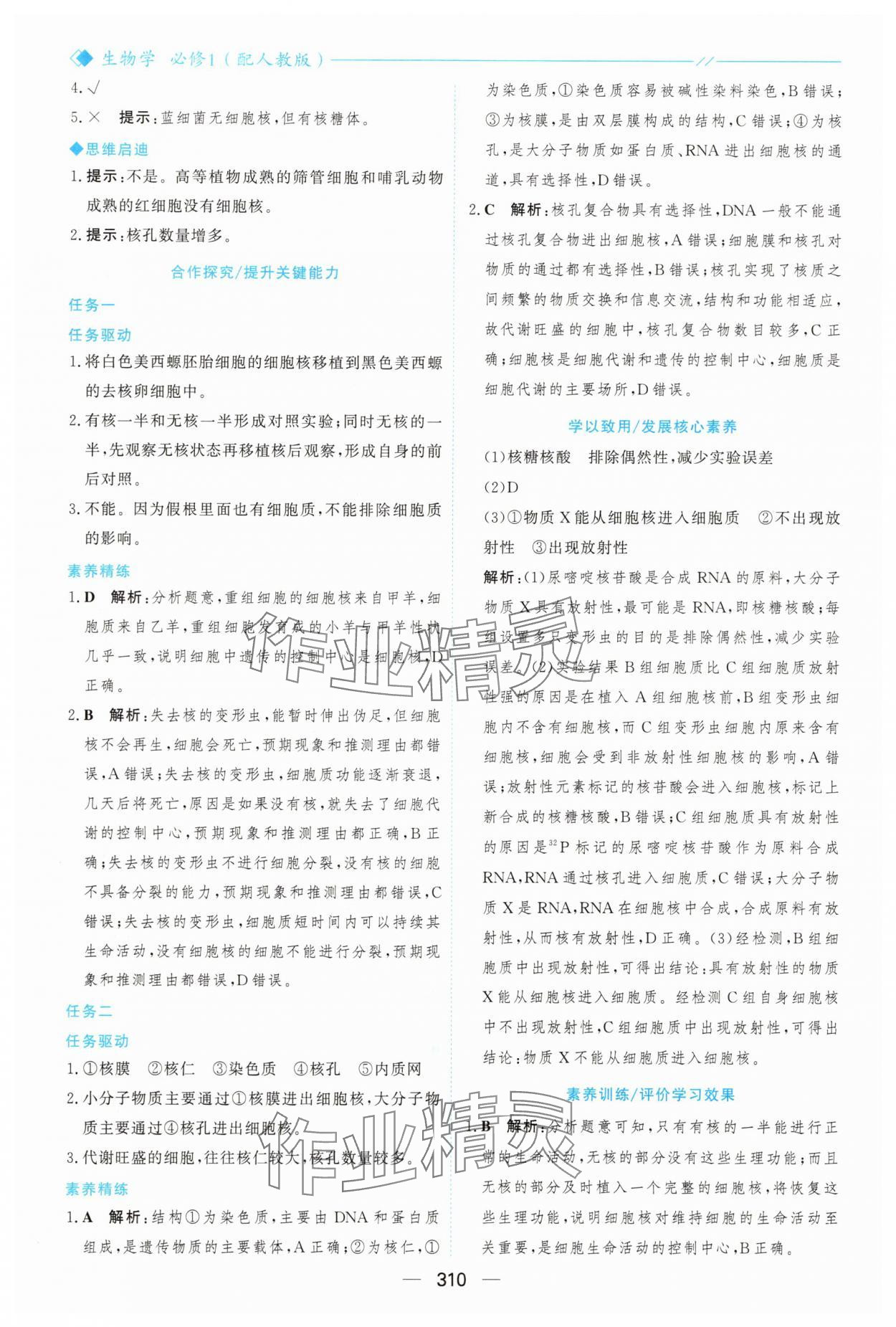 2025年新课程学习与测评高中生物必修1人教版&nbsp;参考答案第21页