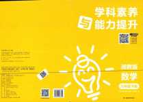 2024年學科素養與能力提升九年級數學下冊湘教版