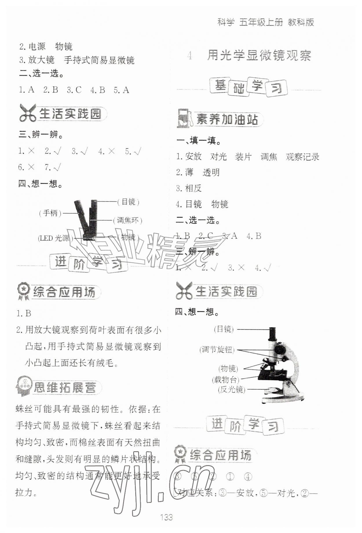 2026年资源与评价黑龙江教育出版社五年级科学上册教科版&nbsp;第3页