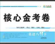 2024年核心金考卷八年級(jí)英語(yǔ)下冊(cè)仁愛版