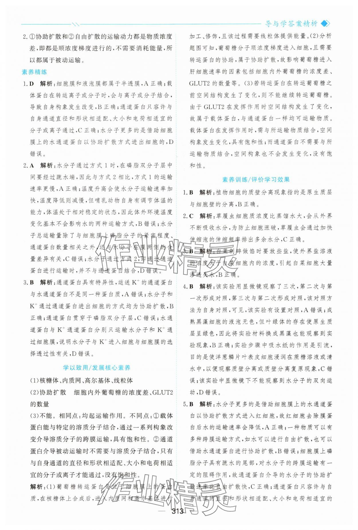2025年新课程学习与测评高中生物必修1人教版&nbsp;参考答案第24页
