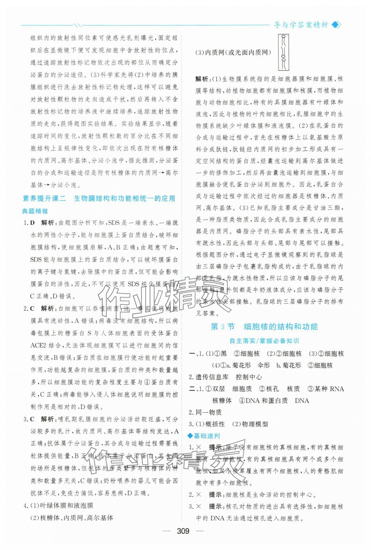 2025年新课程学习与测评高中生物必修1人教版&nbsp;参考答案第20页