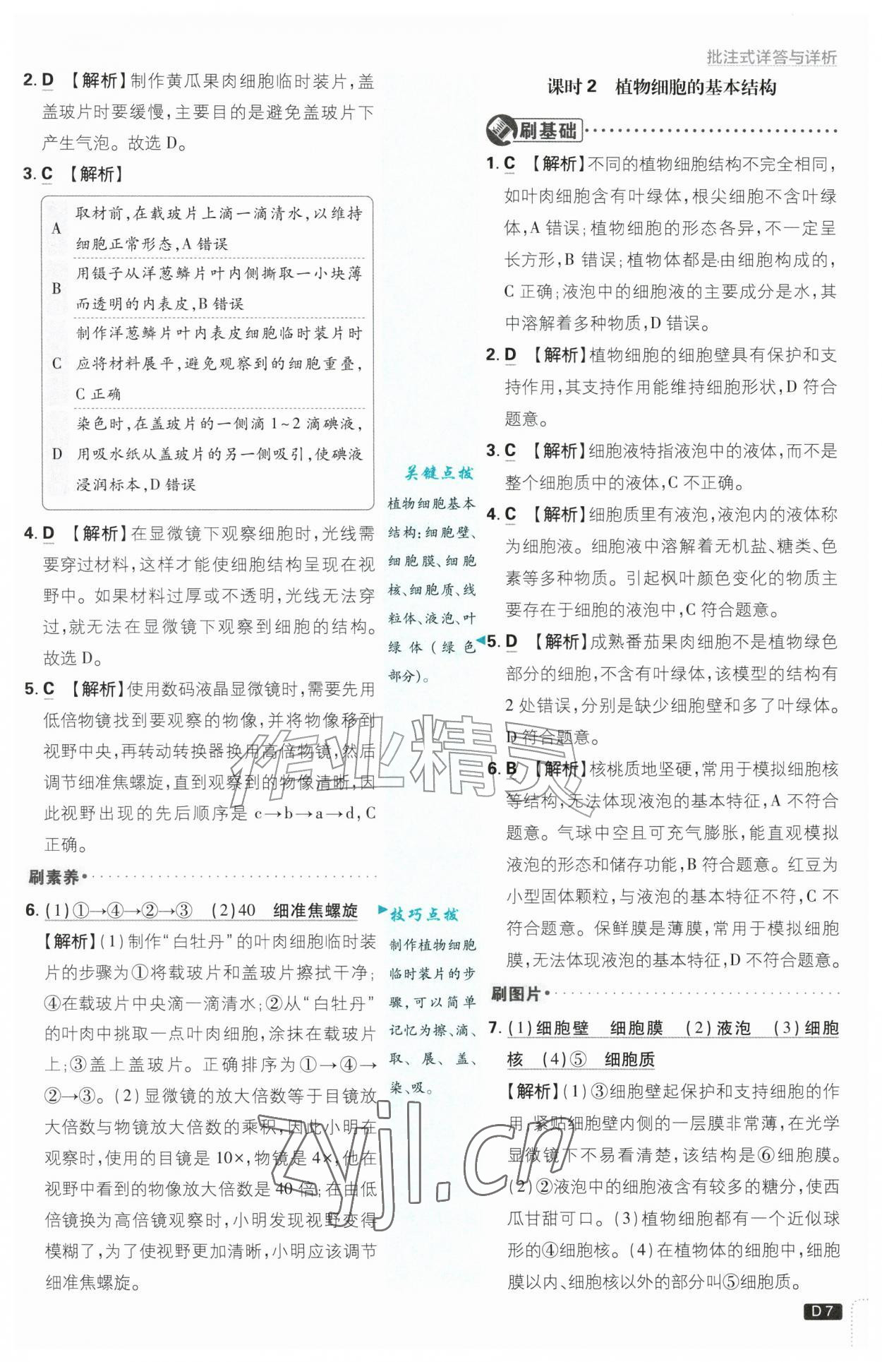 2026年初中必刷题七年级生物上册人教版&nbsp;第7页