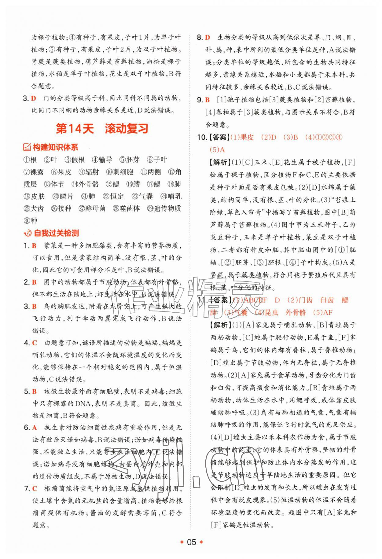 2026年预备新初一小升初史地生政&nbsp;第5页