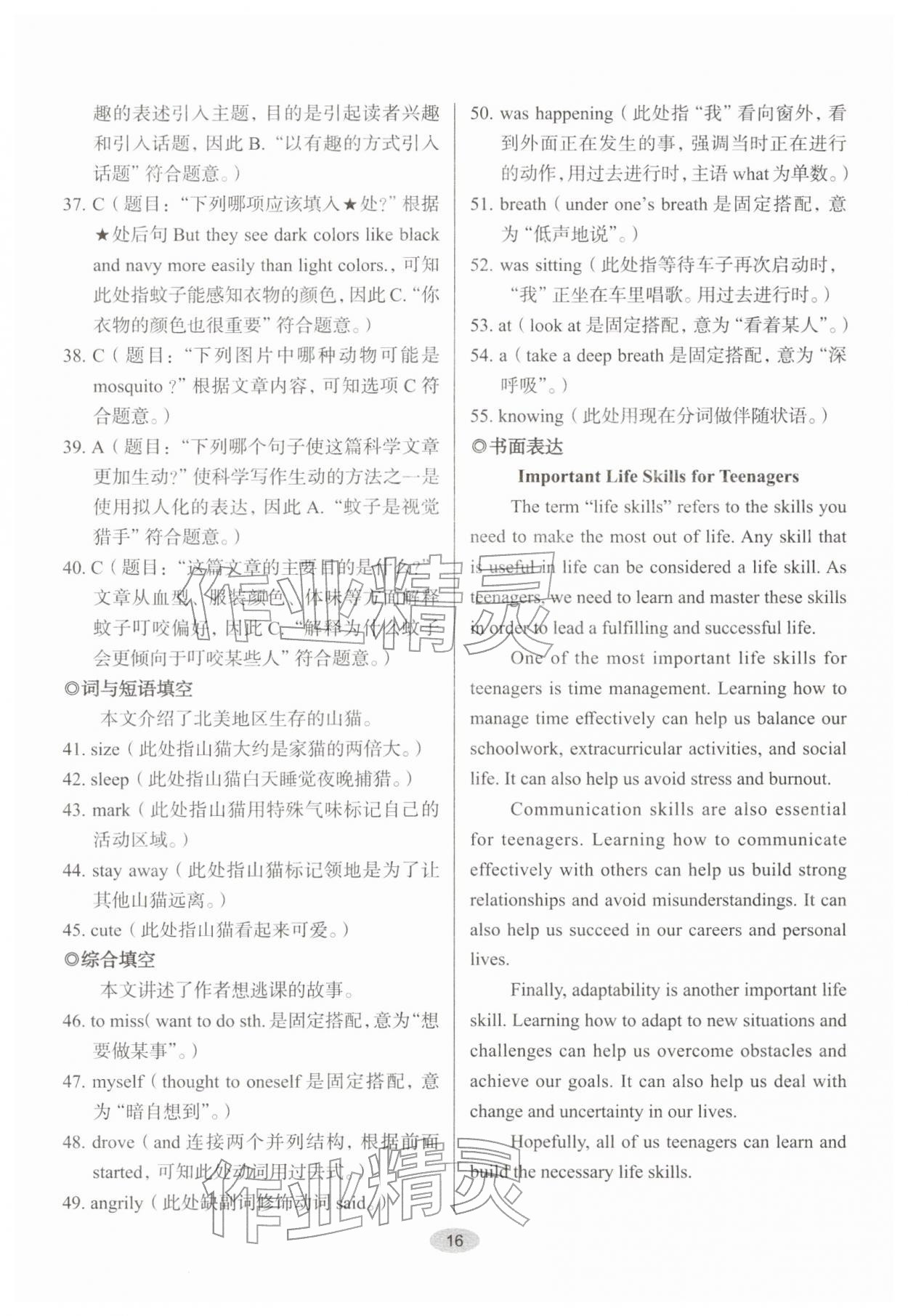 2026年天下中考核心素养提升九年级英语B版&nbsp;参考答案第16页