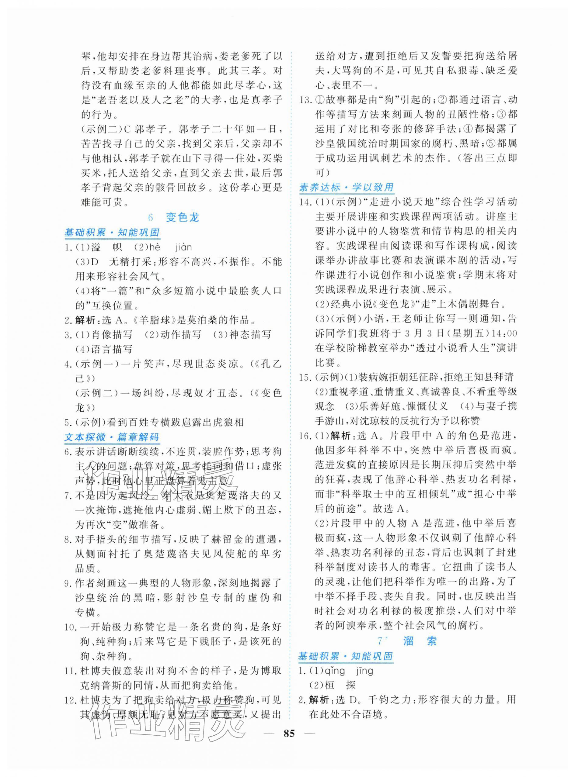 2026年新坐标同步练习九年级语文下册人教版青海专用&nbsp;第5页