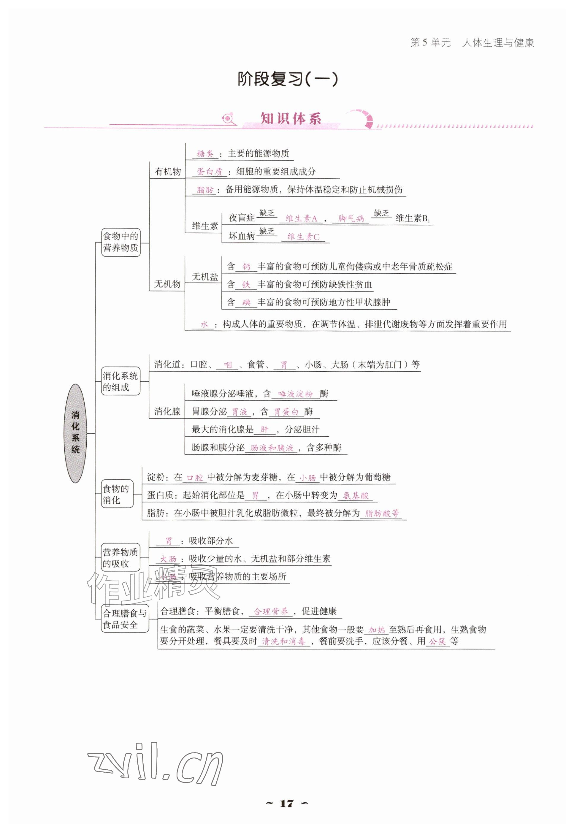 2026年优佳学案（云南）八年级生物上册苏教版&nbsp;参考答案第17页