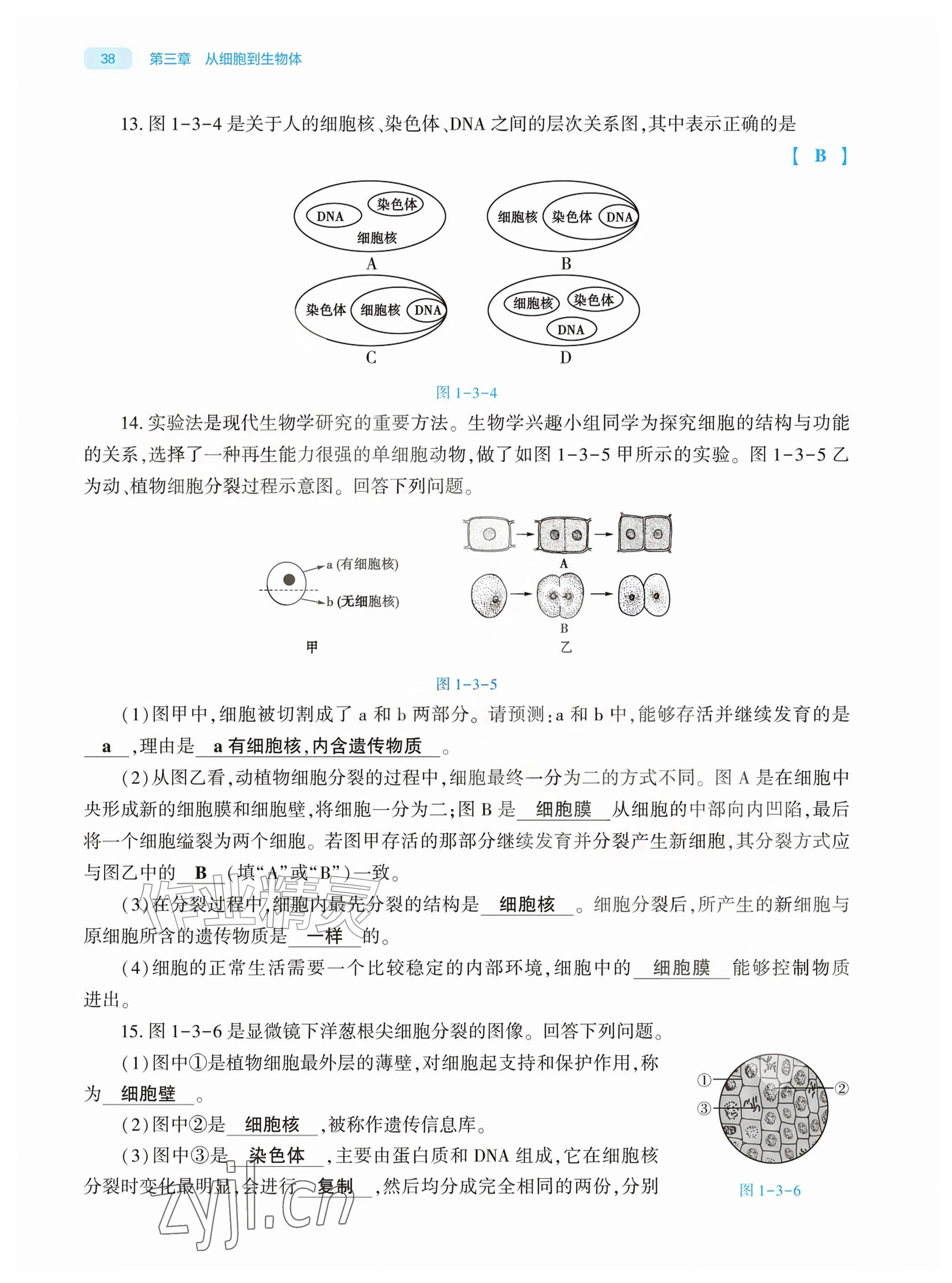 2026年基础训练大象出版社七年级生物上册人教版&nbsp;参考答案第38页