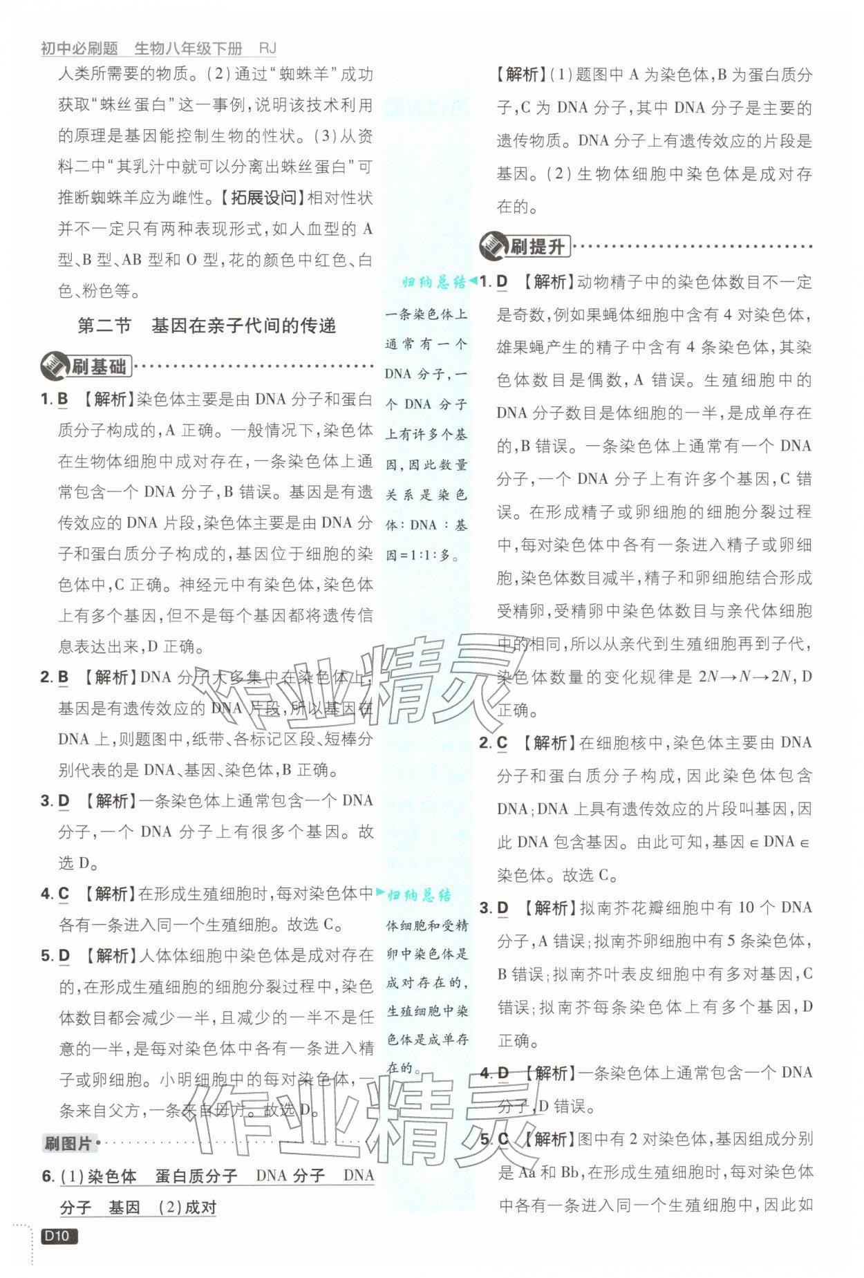 2026年初中必刷题八年级生物下册人教版&nbsp;第10页