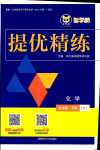 2024年智學(xué)酷提優(yōu)精練九年級化學(xué)下冊人教版