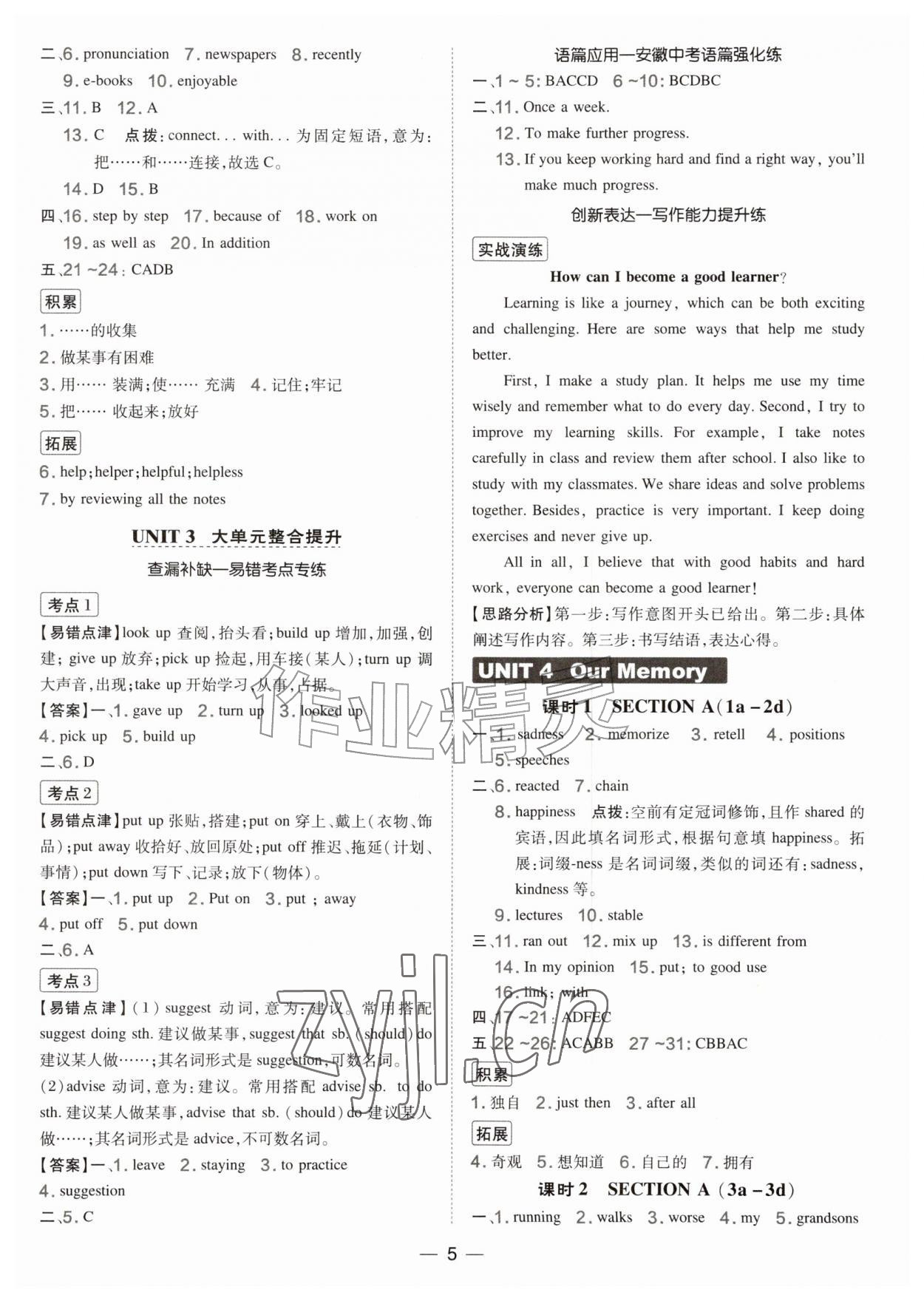 2026年点拨训练九年级英语上册人教版安徽专版&nbsp;第5页