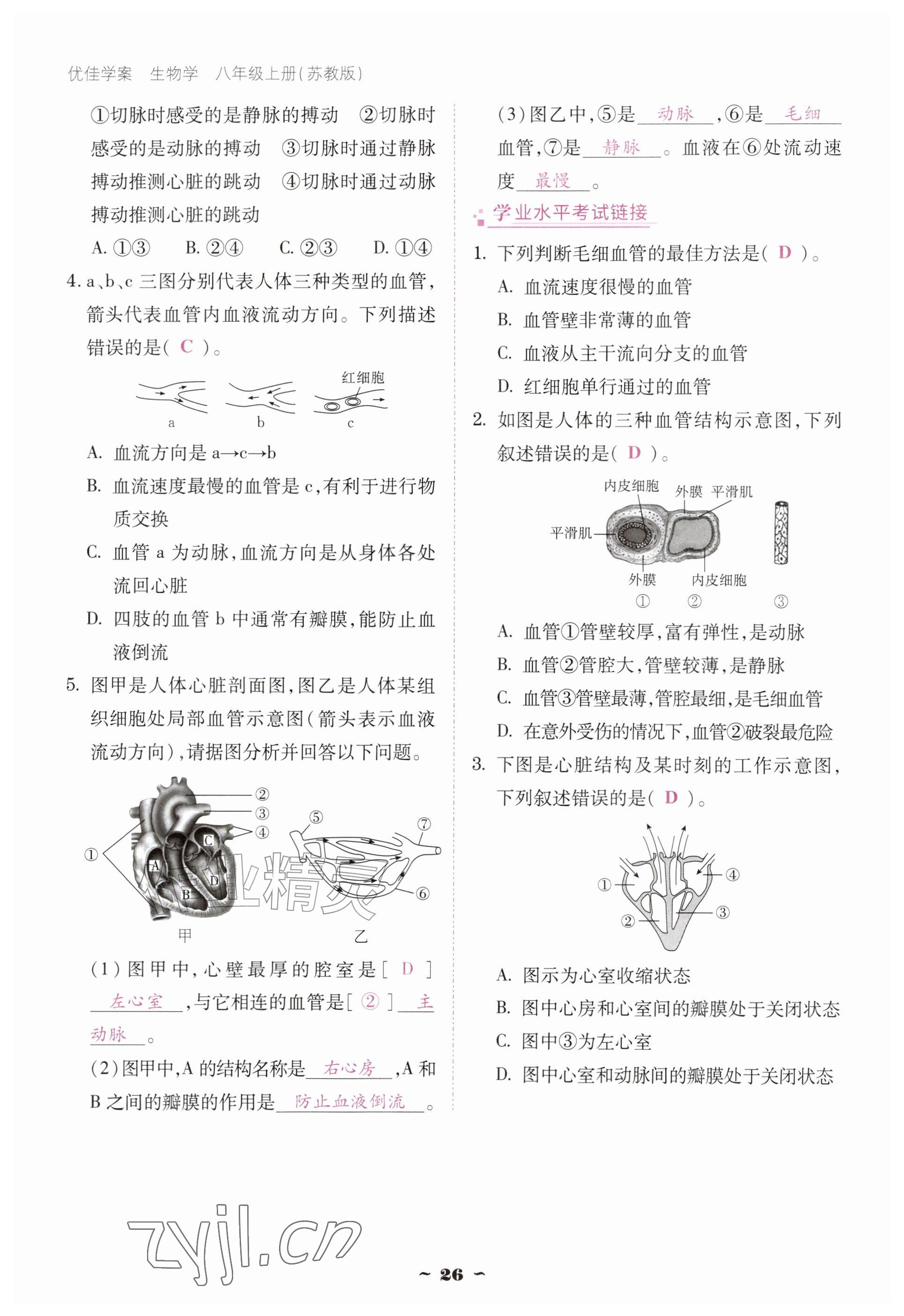 2026年优佳学案（云南）八年级生物上册苏教版&nbsp;参考答案第26页