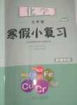 2024年寒假小復習山東人民出版社九年級化學魯教版