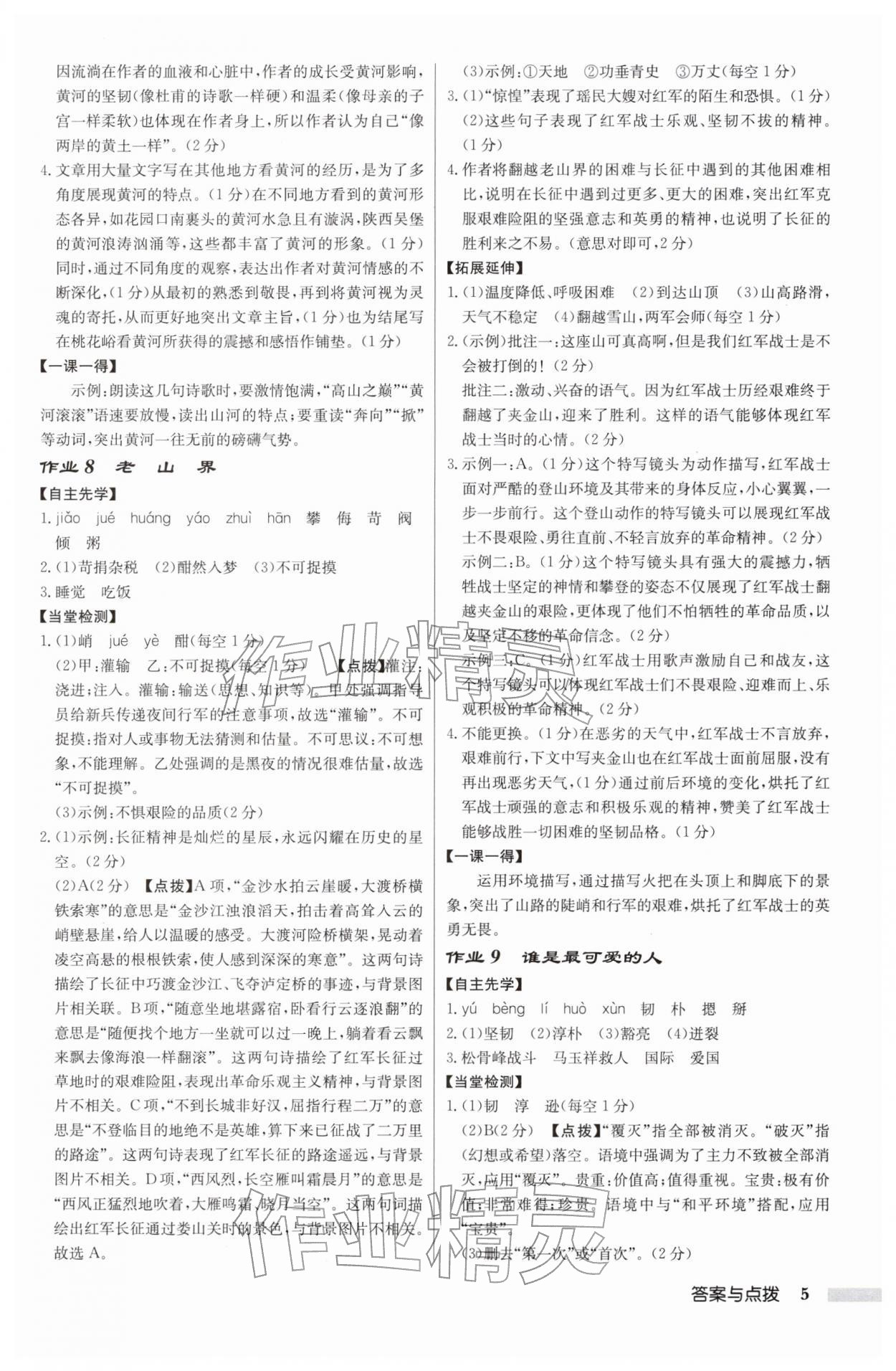 2026年同步分层训练七年级语文下册人教版&nbsp;第5页