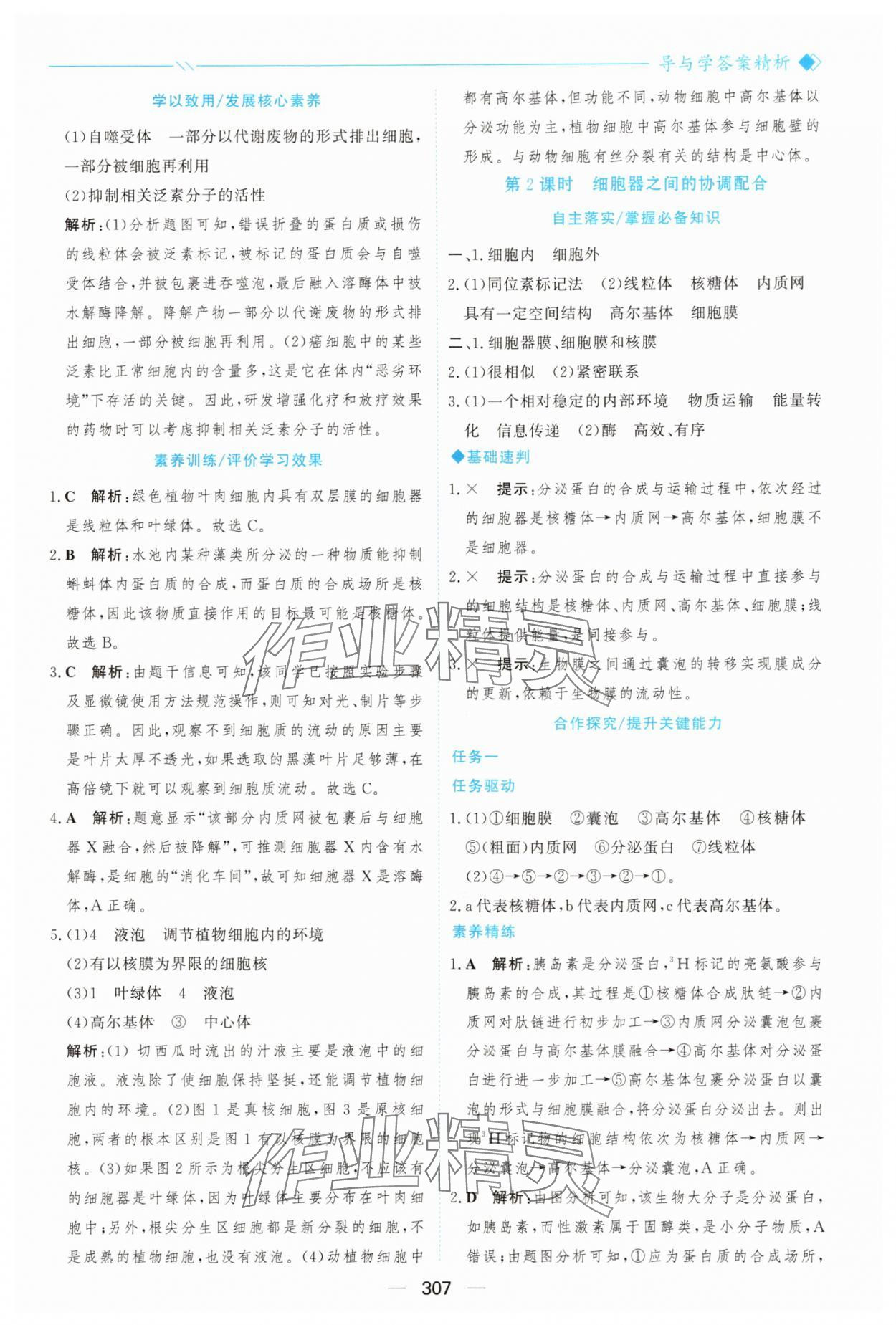 2025年新课程学习与测评高中生物必修1人教版&nbsp;参考答案第18页