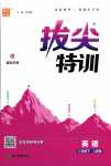 2024年拔尖特訓(xùn)八年級英語下冊人教版