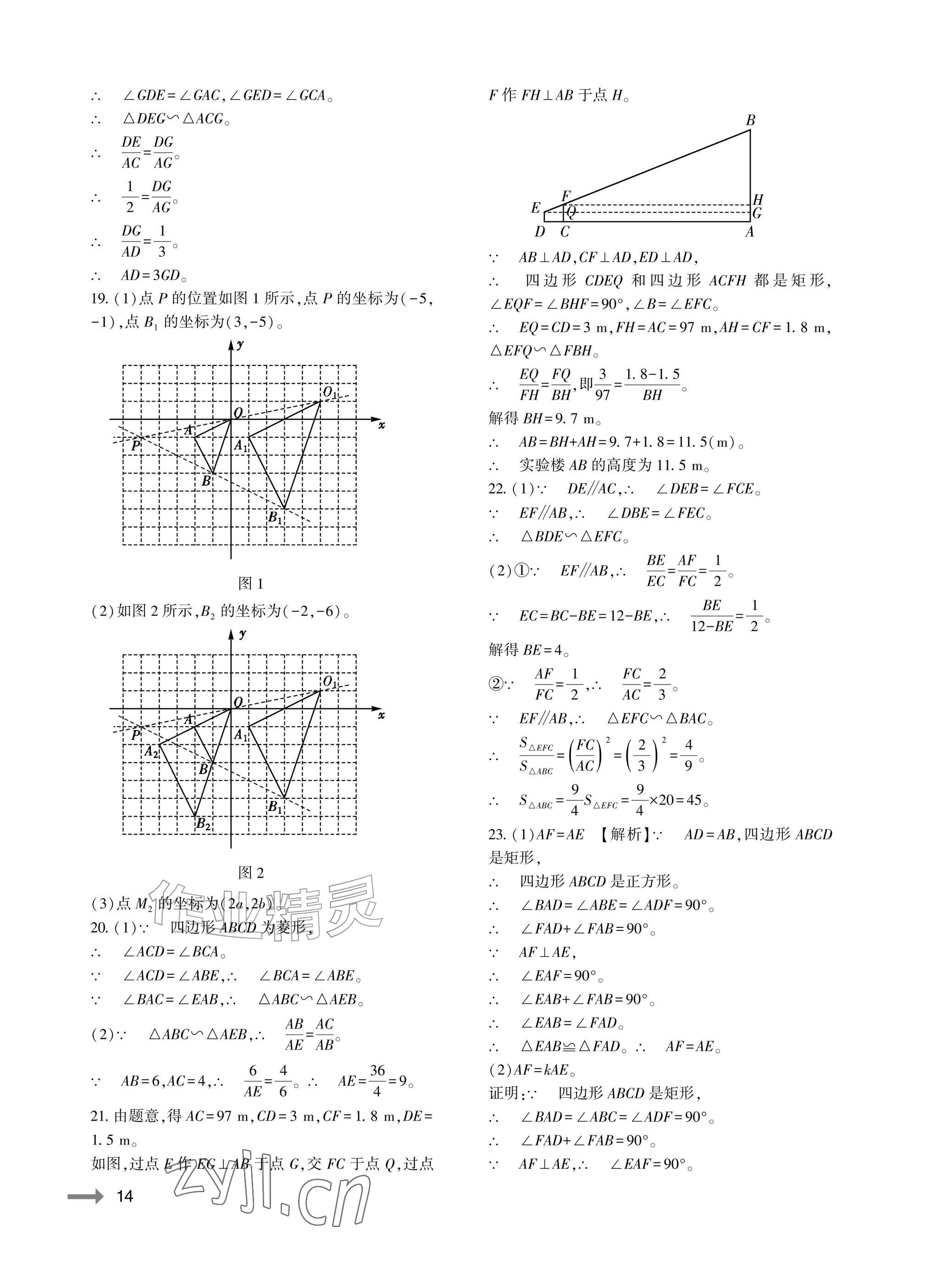 2026年节节高大象出版社九年级数学全一册北师大版&nbsp;参考答案第14页