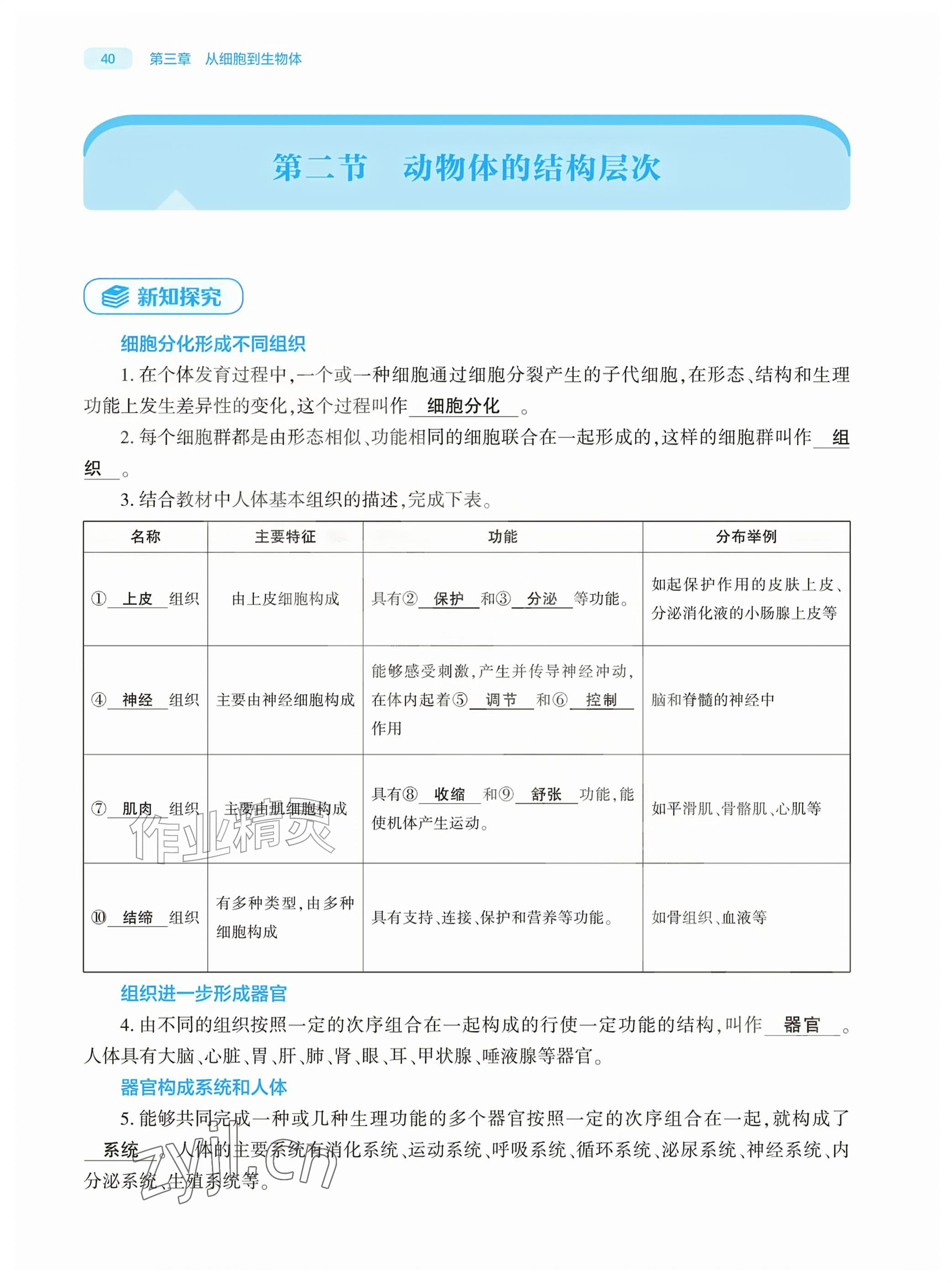 2026年基础训练大象出版社七年级生物上册人教版&nbsp;参考答案第40页