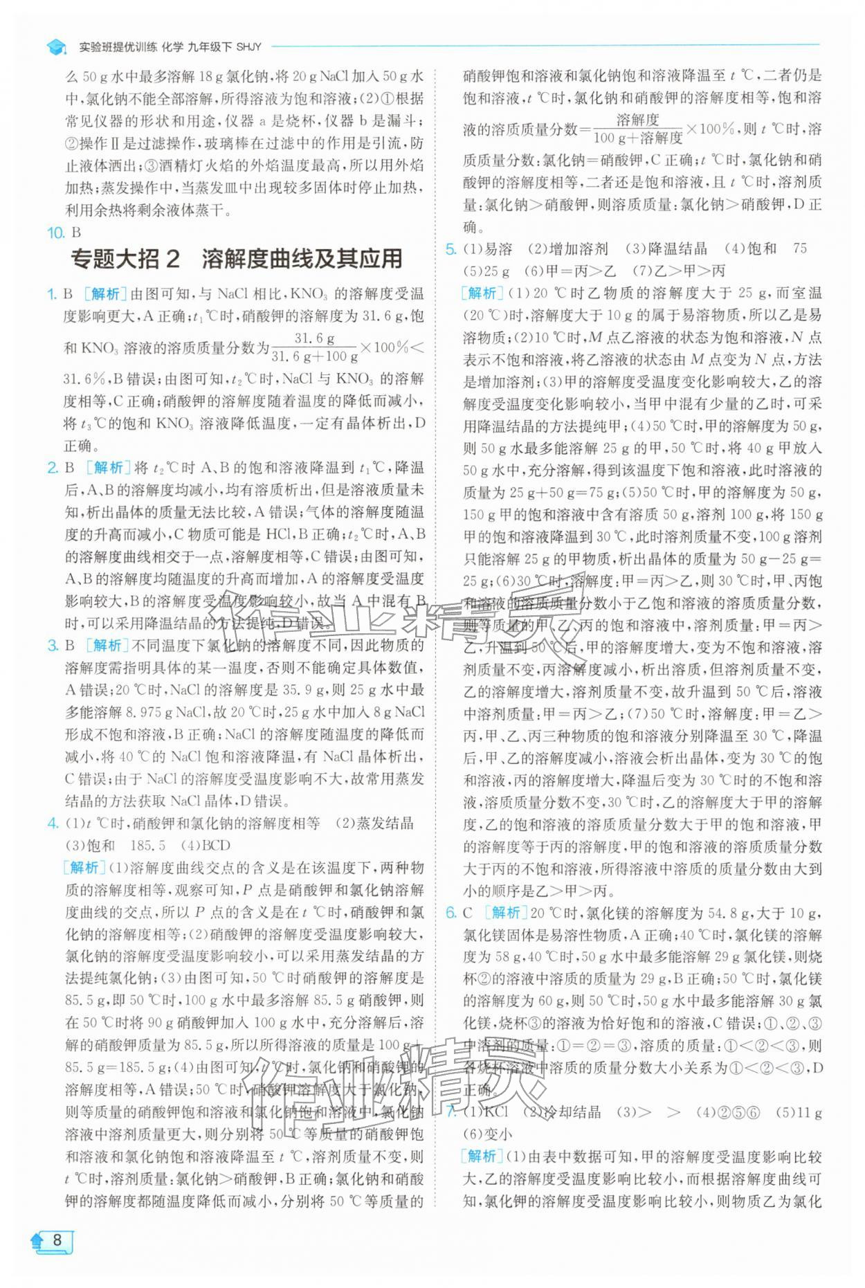 2026年实验班提优训练九年级化学下册沪教版&nbsp;第8页