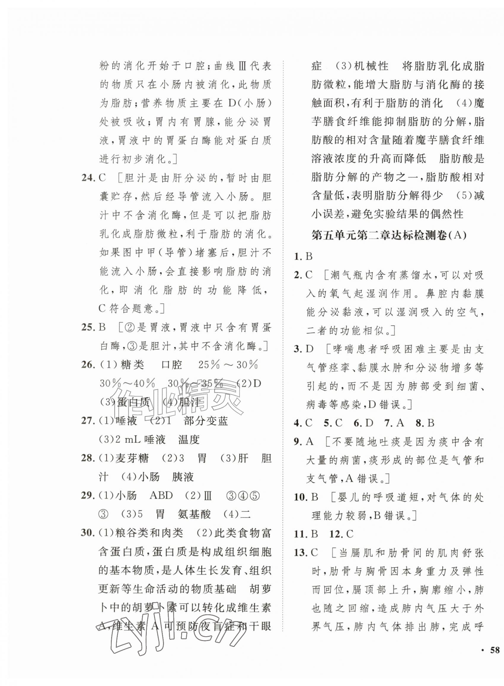 2026年一课三练单元测试八年级生物上册济南版&nbsp;第3页