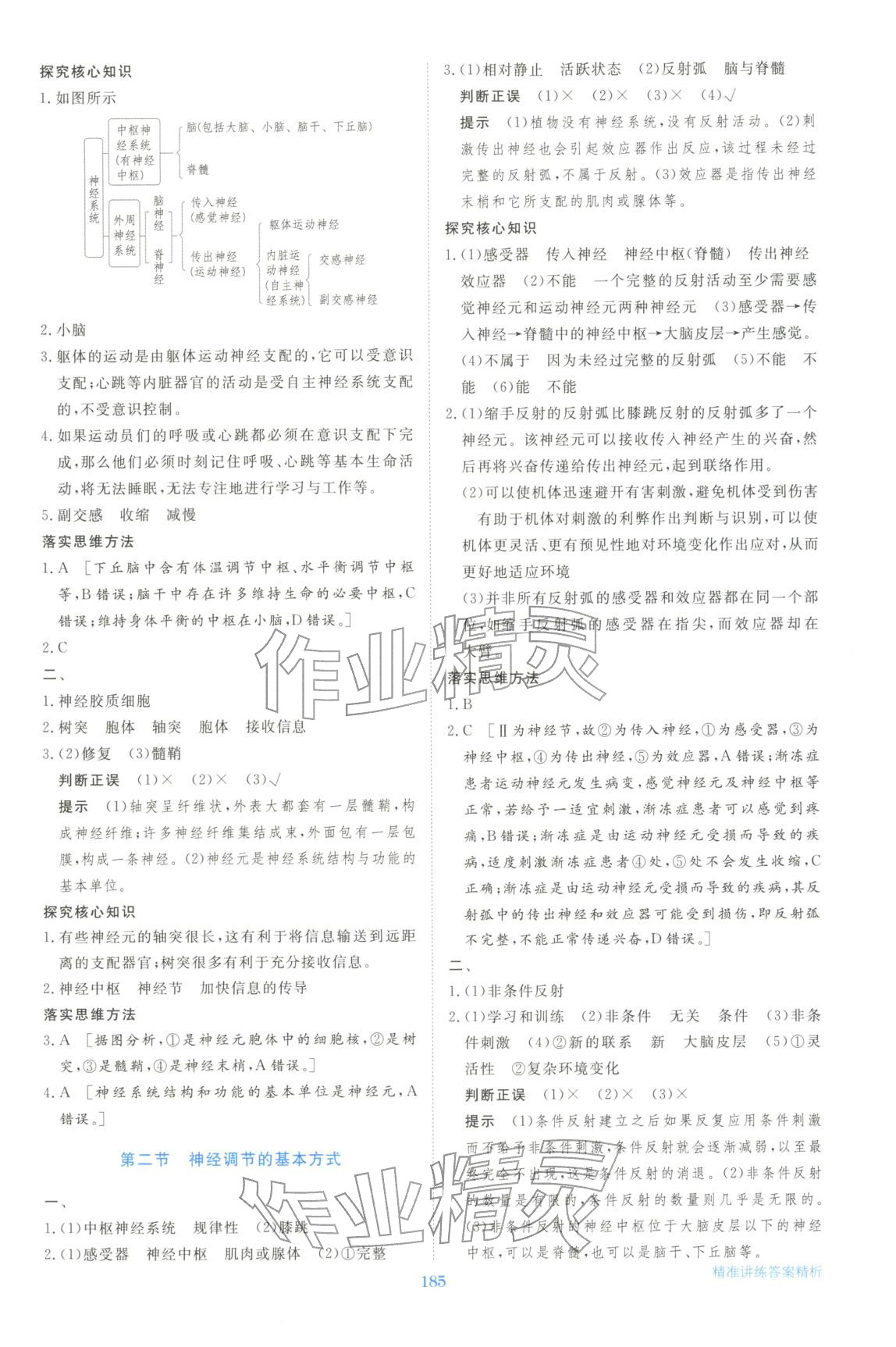 2025年步步高精准讲练生物选择性必修第一册&nbsp;参考答案第4页