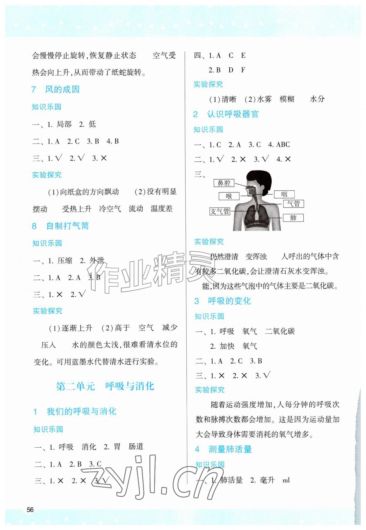 2026年学习与评价陕西四年级科学上册教科版&nbsp;第2页