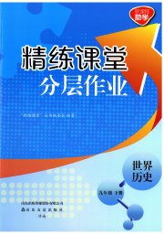 精练课堂分层作业九年级历史人教版