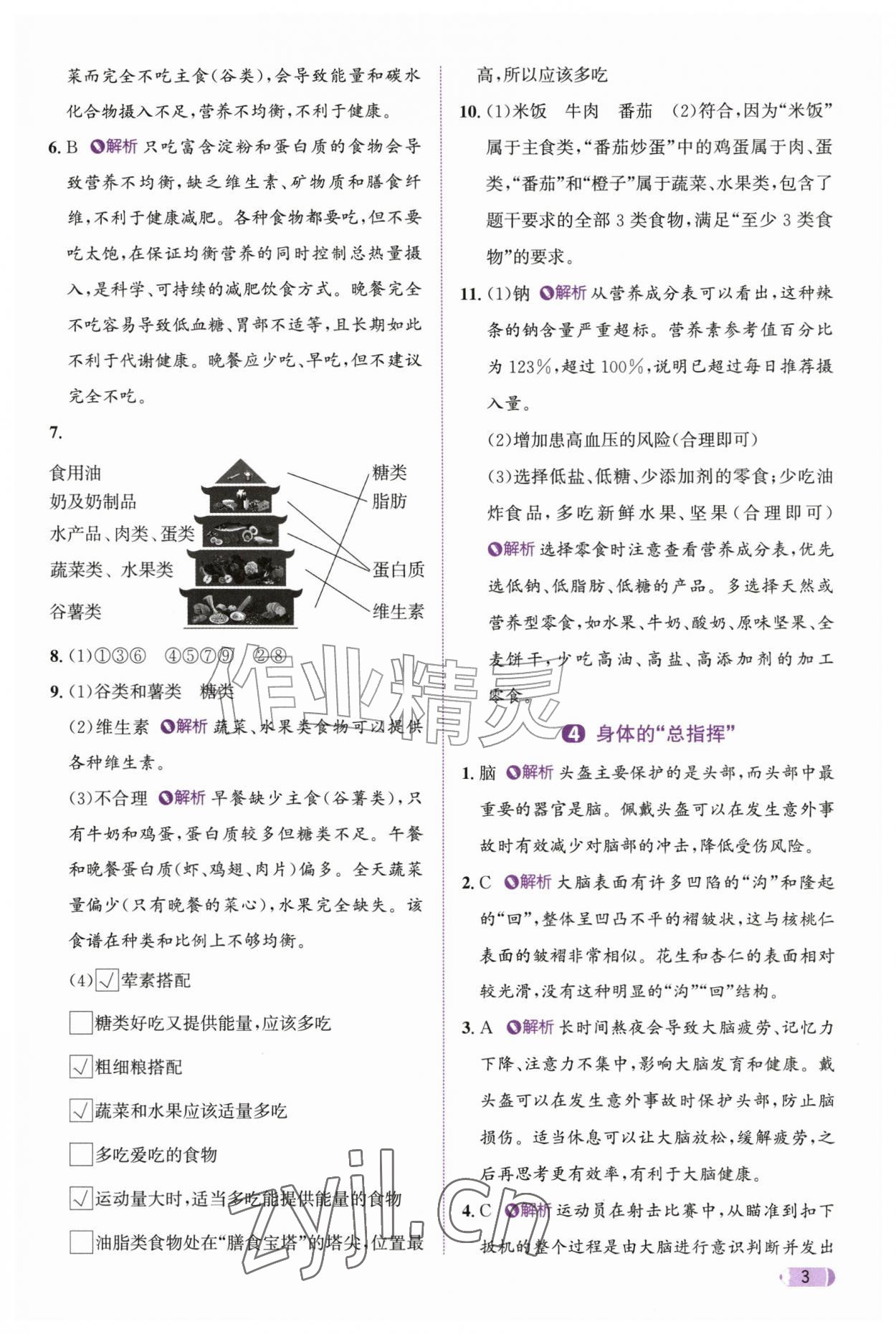 2026年奔跑吧天天练六年级科学上册教科版&nbsp;参考答案第3页