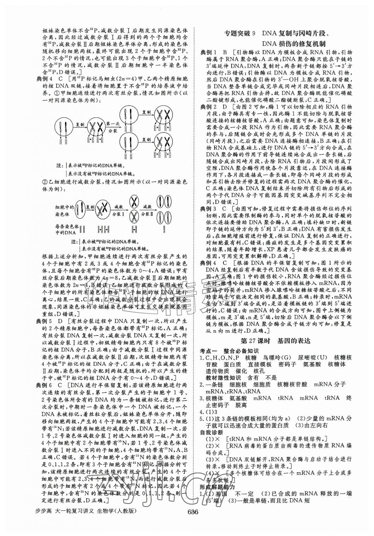 2026年步步高大一轮复习讲义高中生物人教版&nbsp;第28页