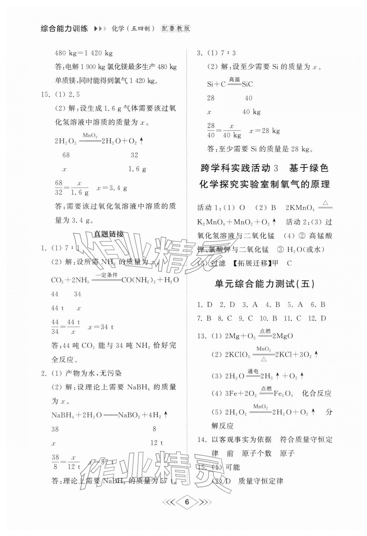 2026年综合能力训练八年级化学下册鲁教版54制&nbsp;第6页