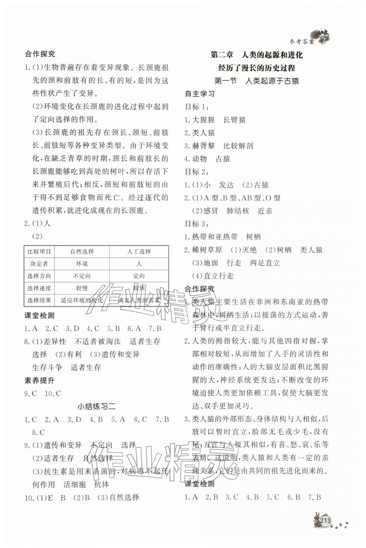 2026年新课程助学丛书八年级生物下册济南版&nbsp;第3页