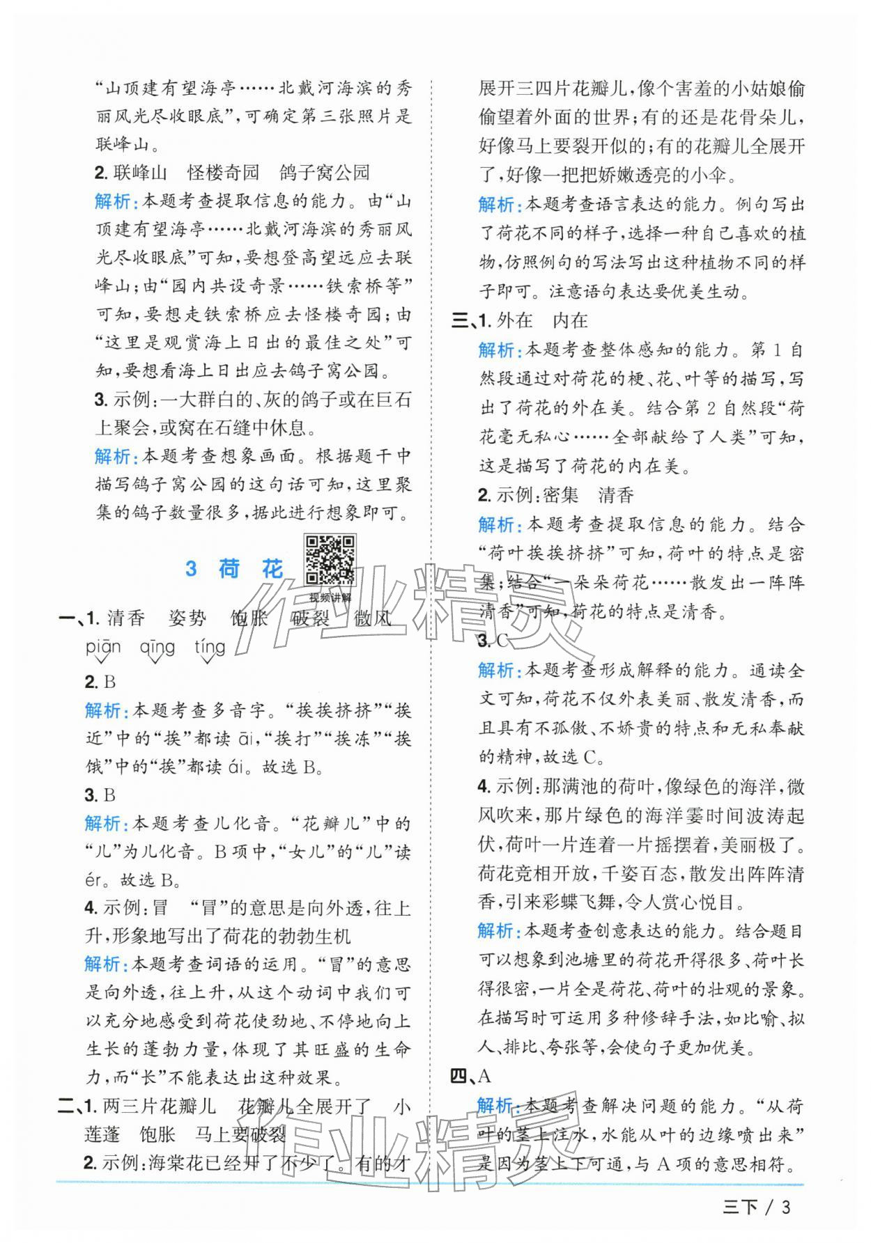 2026年阳光同学课时优化作业三年级语文下册人教版广东专版&nbsp;参考答案第3页