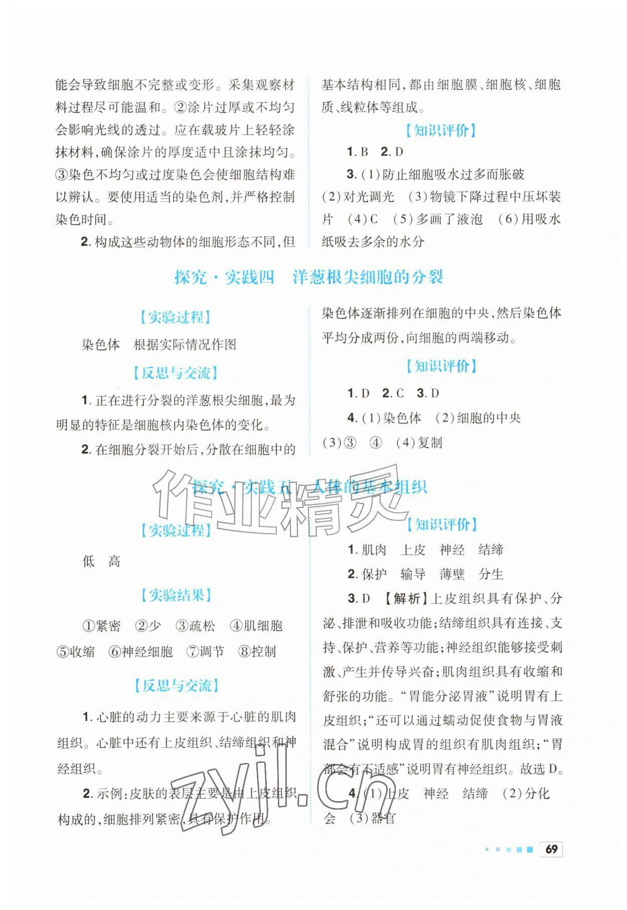 2026年初中实验探究报告册七年级生物上册人教版&nbsp;参考答案第2页