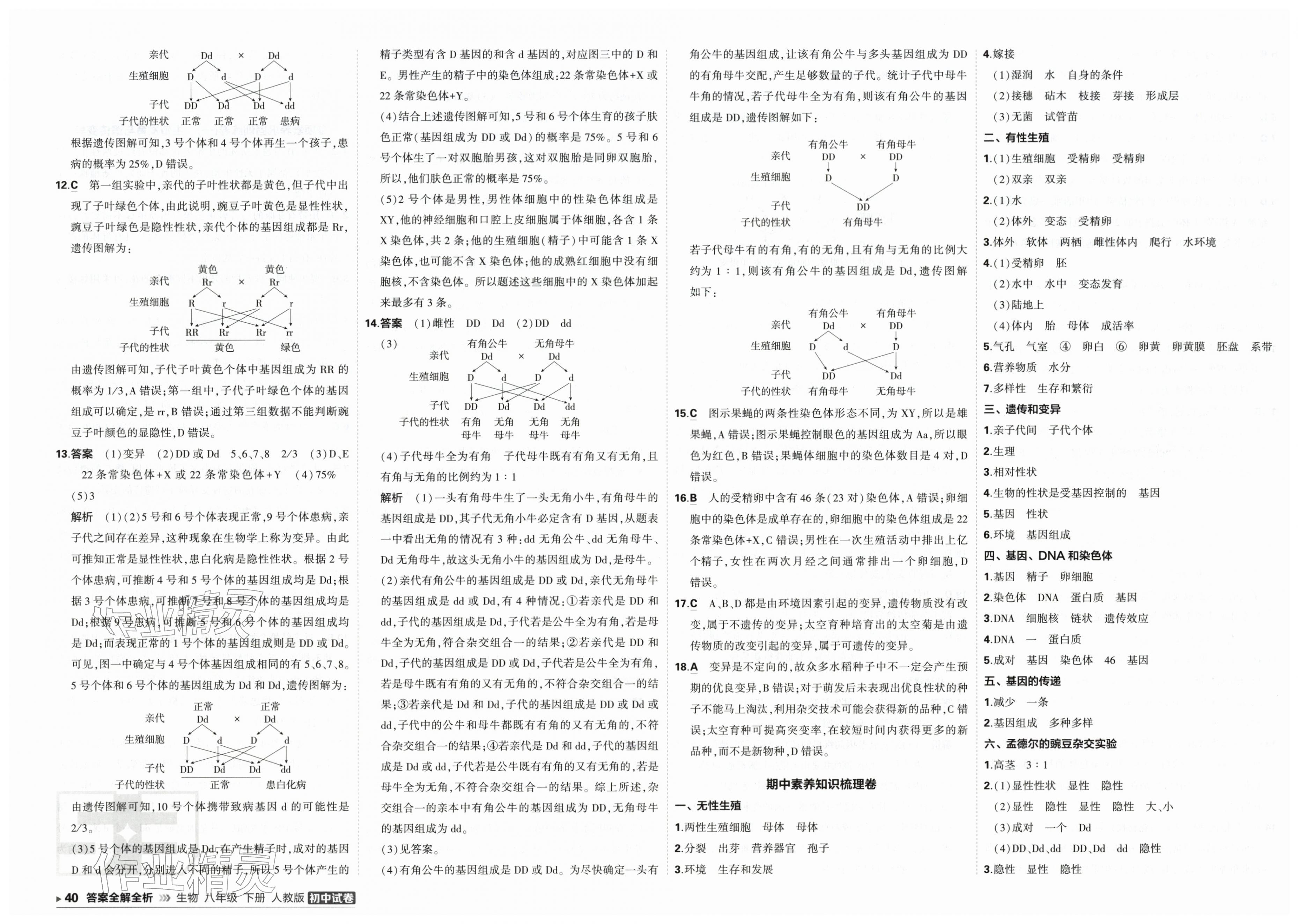 2026年5年中考3年模拟初中试卷八年级生物下册人教版&nbsp;第4页