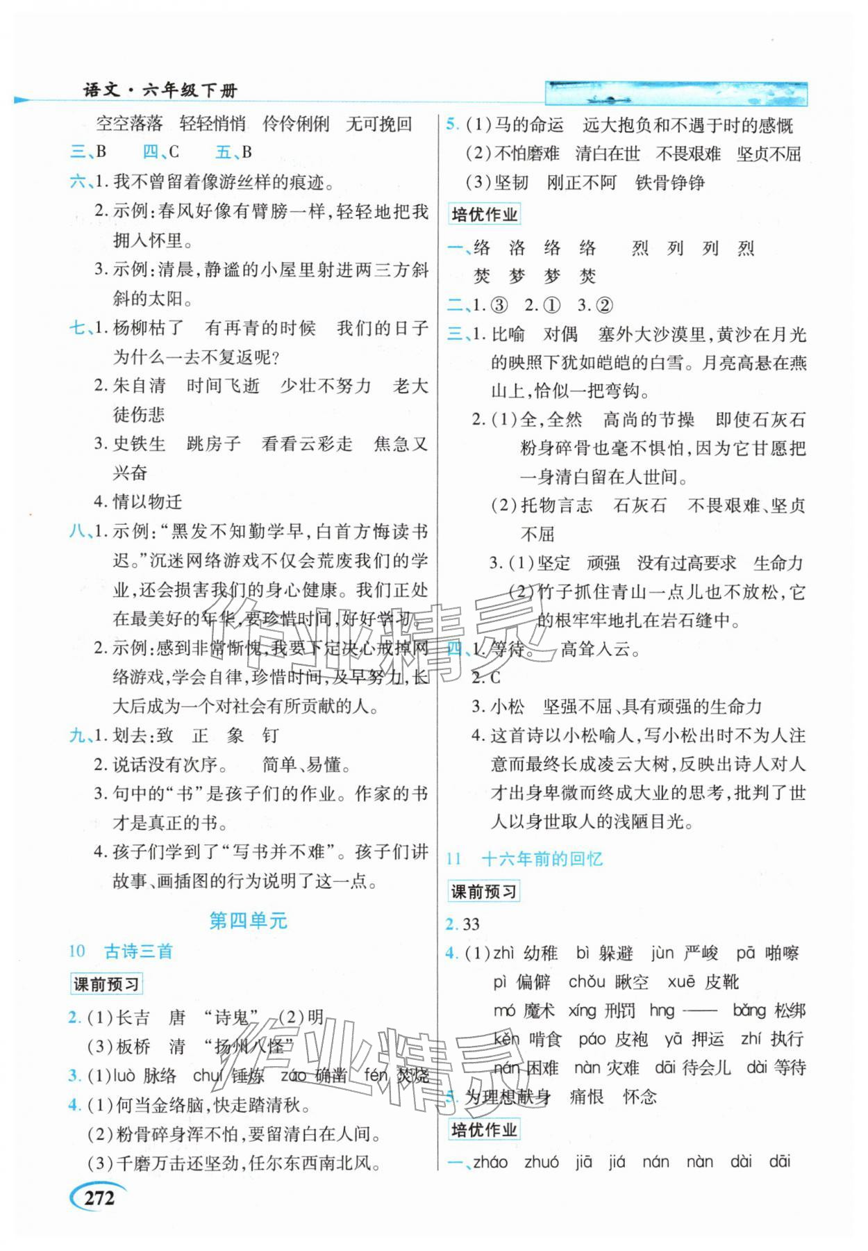 2026年世纪英才英才教程六年级语文下册人教版&nbsp;参考答案第5页
