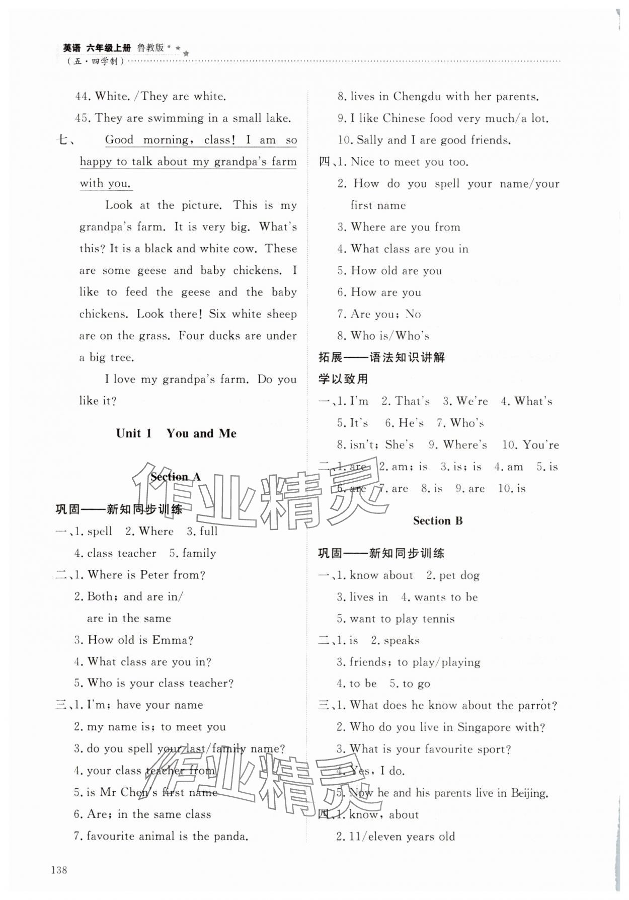 2025年同步练习册明天出版社六年级英语上册鲁教版五四制&nbsp;参考答案第4页