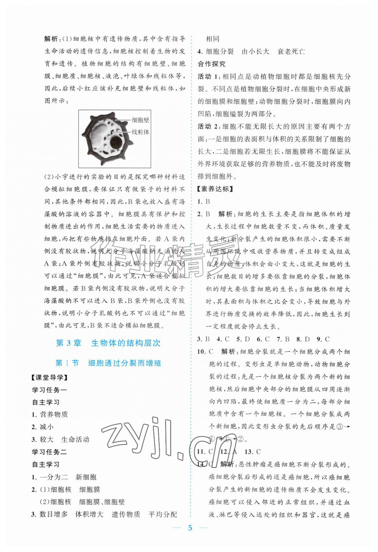 2026年新课程同步练习册七年级生物上册北师大版&nbsp;参考答案第5页