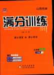 2024年满分训练设计九年级物理下册人教版山西专版