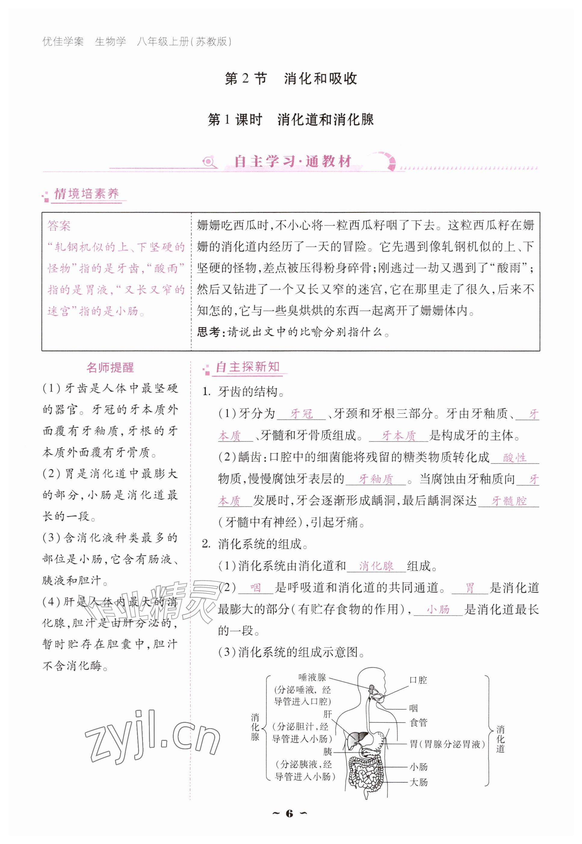 2026年优佳学案（云南）八年级生物上册苏教版&nbsp;参考答案第6页