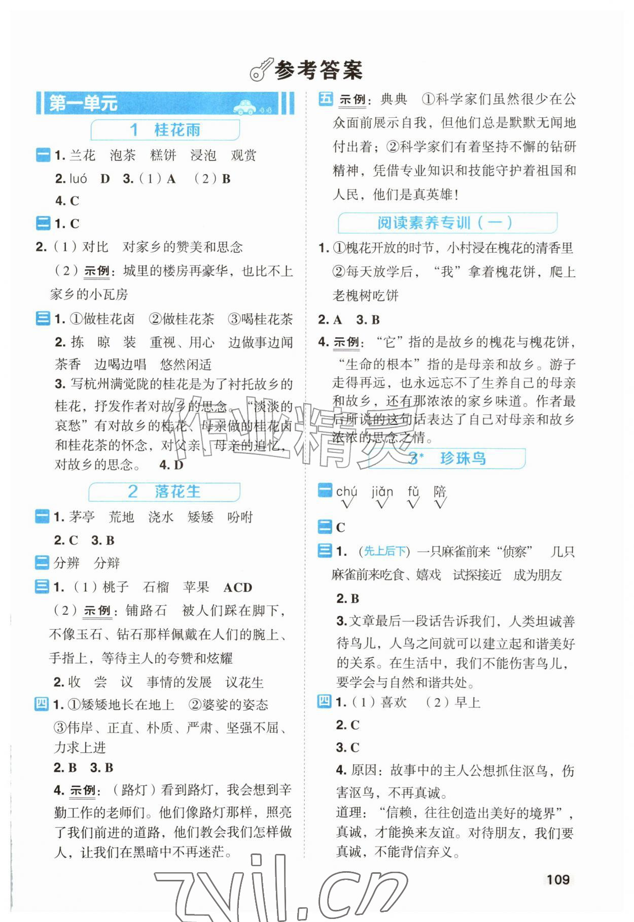 2026年典中点课时素养练五年级语文上册人教版&nbsp;第1页