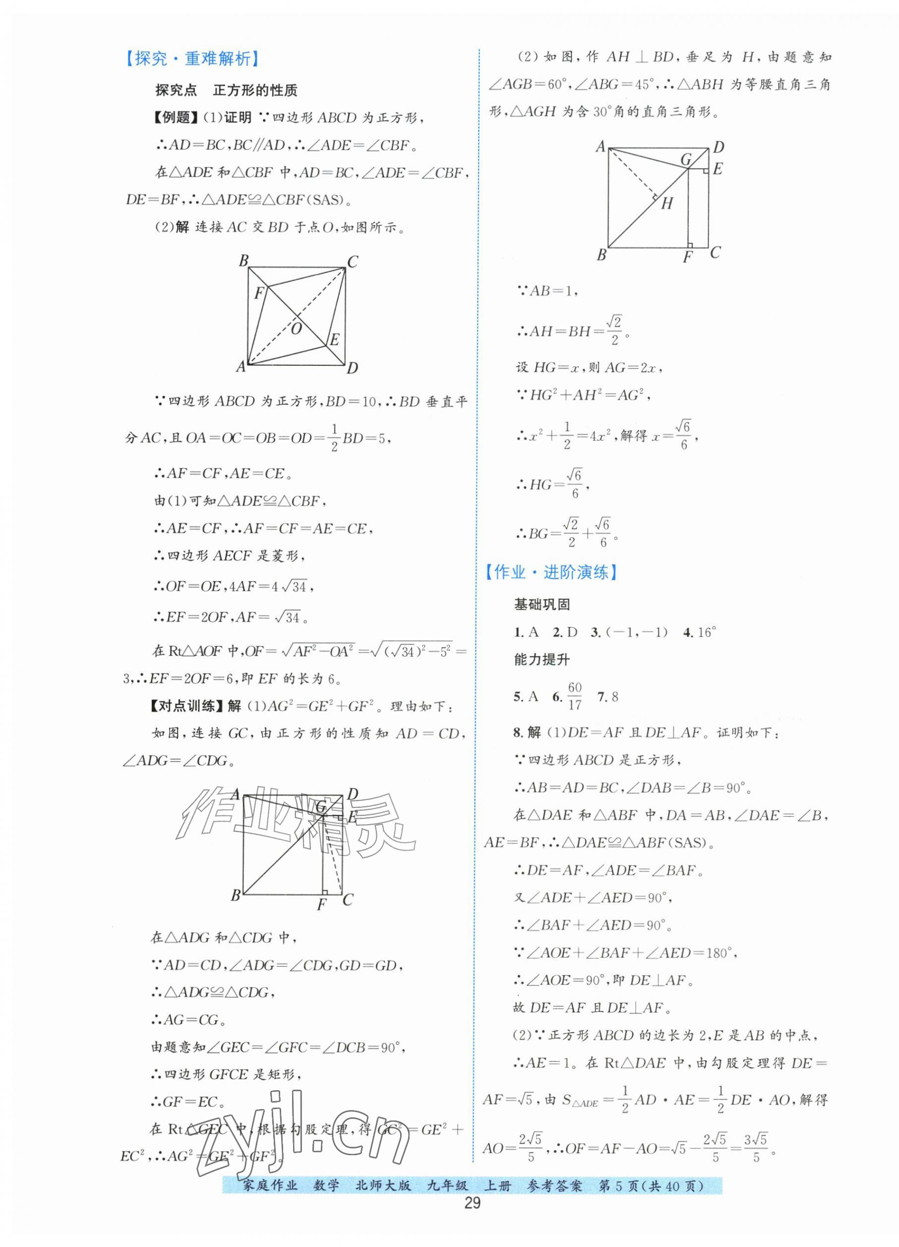 2026年家庭作业九年级数学上册北师大版&nbsp;第5页