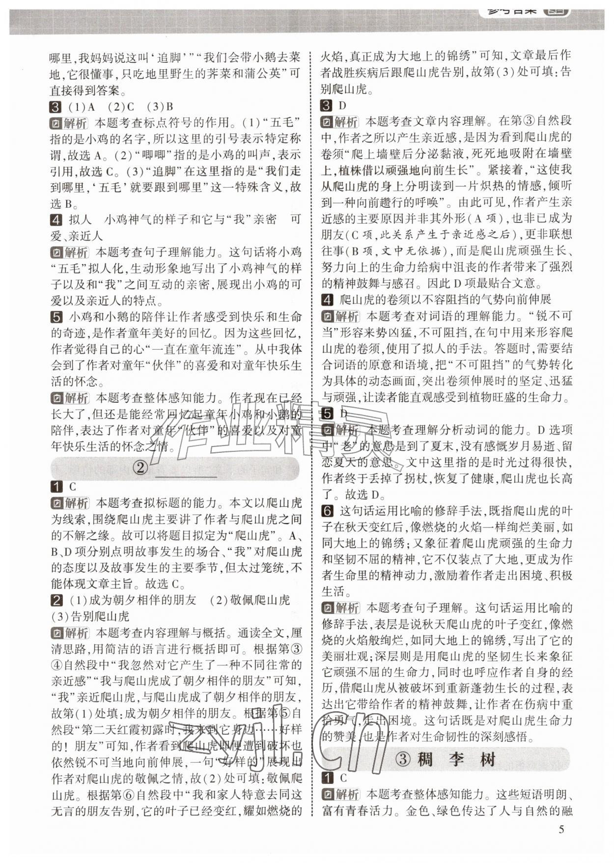 2026年学霸的暑假阅读集训四年级语文&nbsp;第5页
