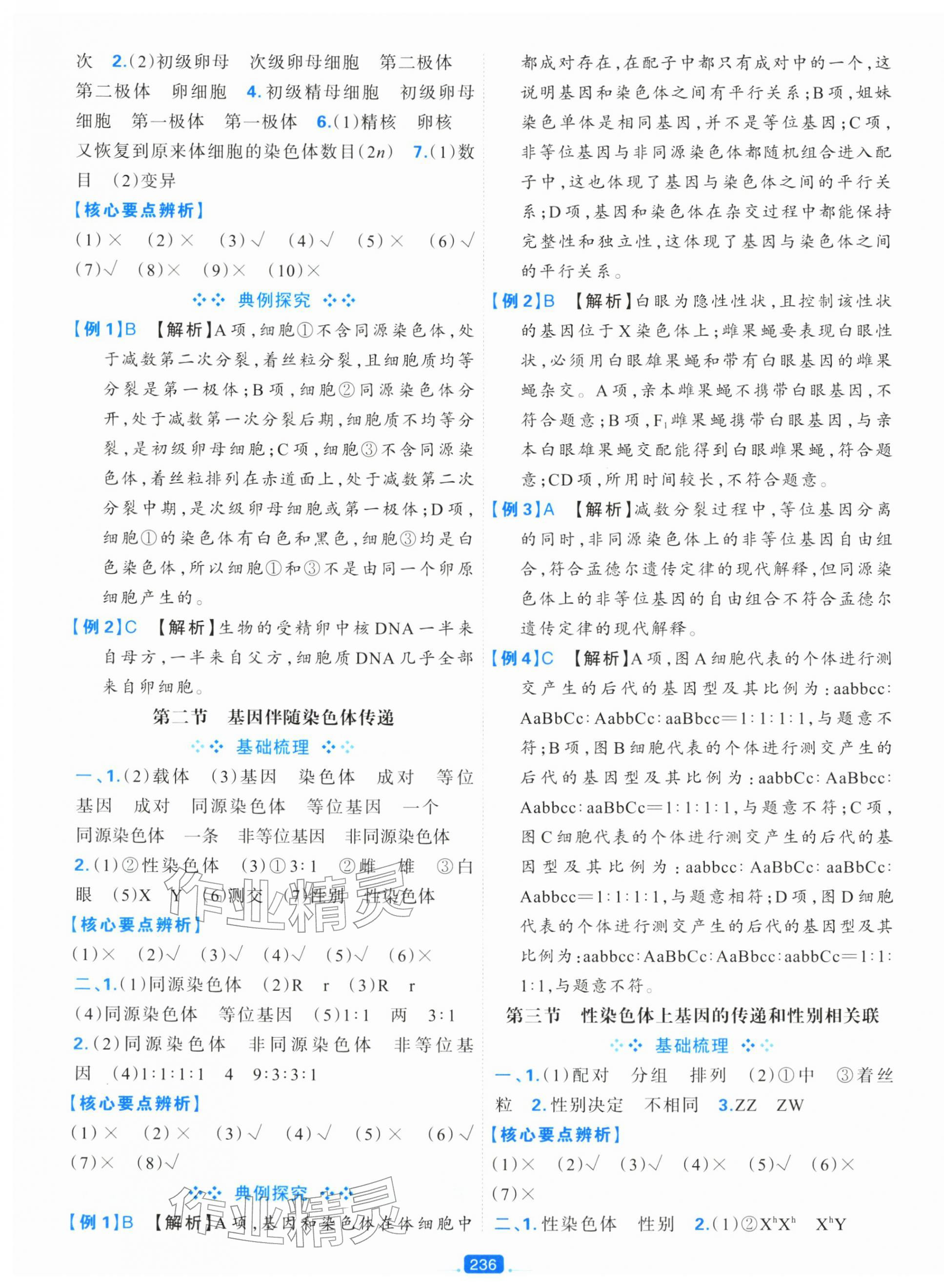 2025年A+评价学练测高中生物必修2&nbsp;第4页