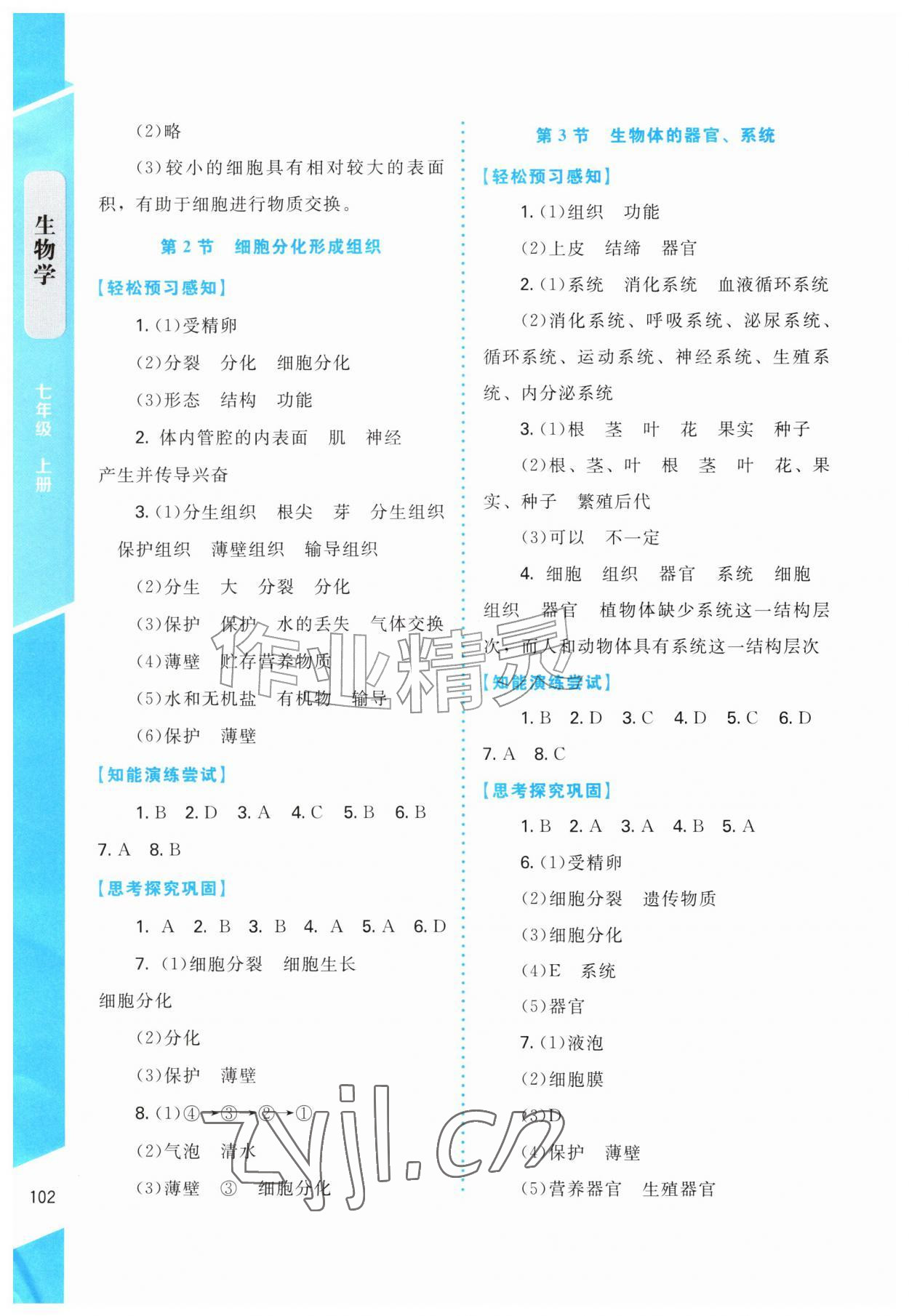 2026年同步学练测七年级生物上册北师大版安徽专版&nbsp;第4页
