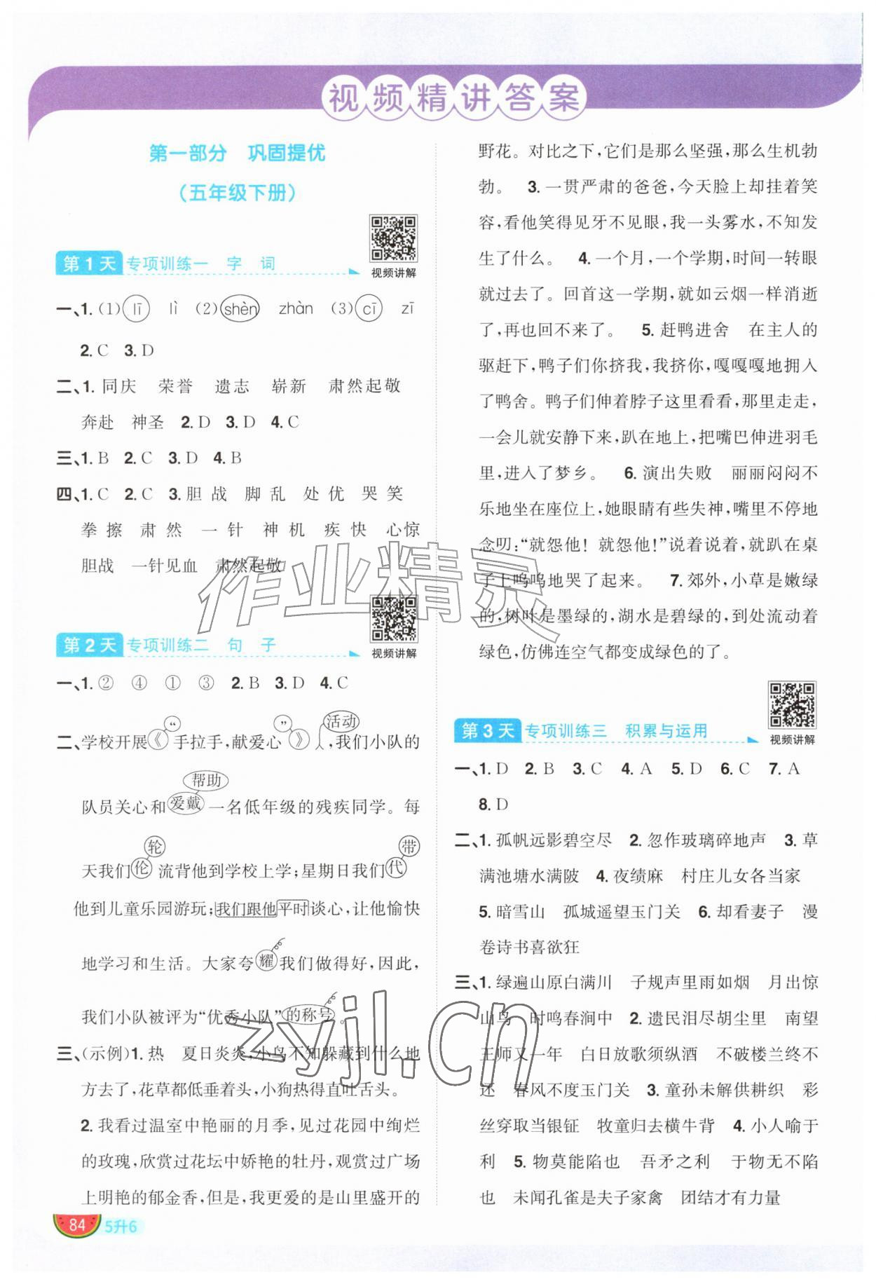 2026年阳光同学暑假衔接五升六语文人教版&nbsp;参考答案第1页