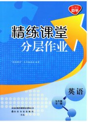 精练课堂分层作业九年级英语人教版