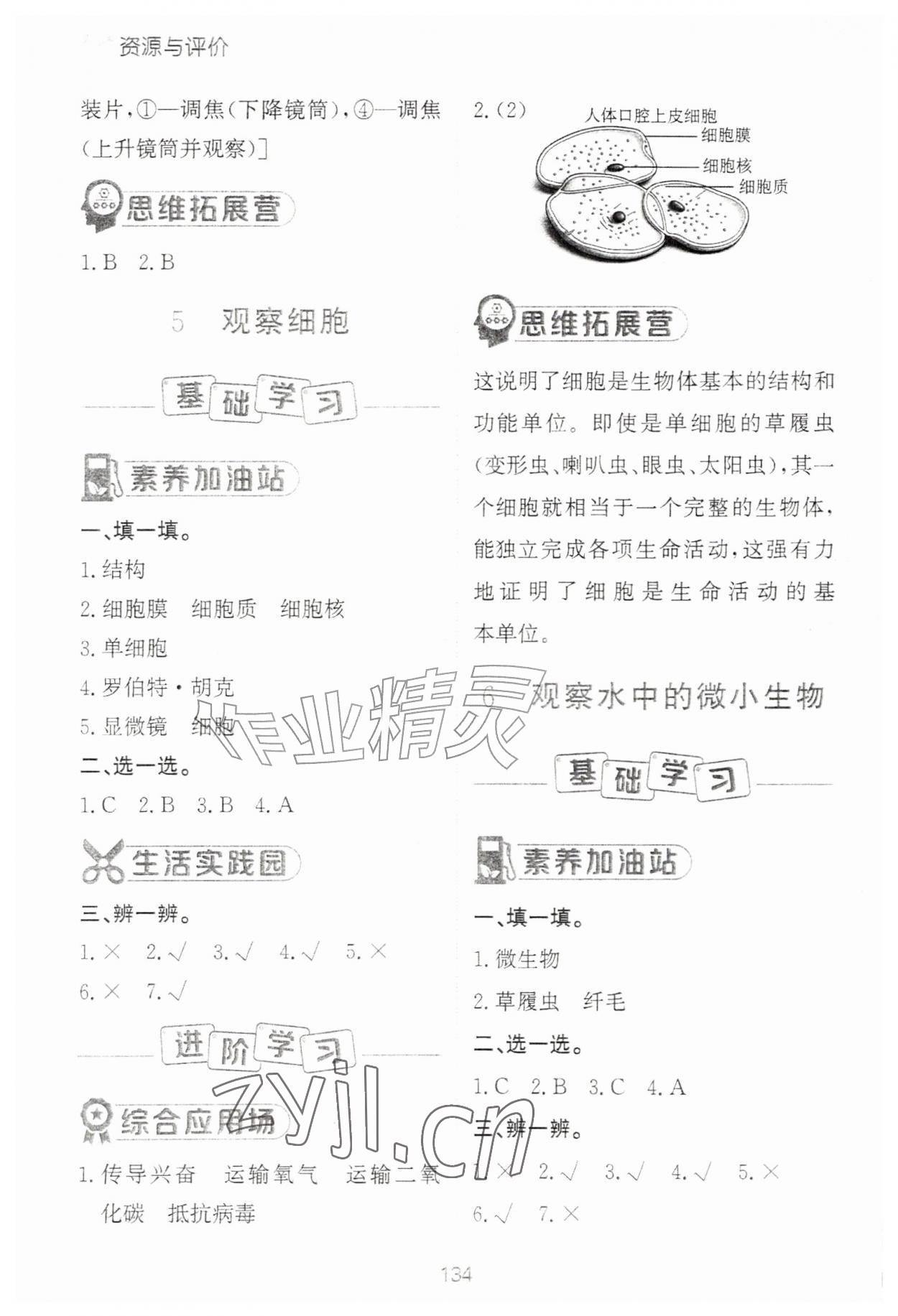 2026年资源与评价黑龙江教育出版社五年级科学上册教科版&nbsp;第4页